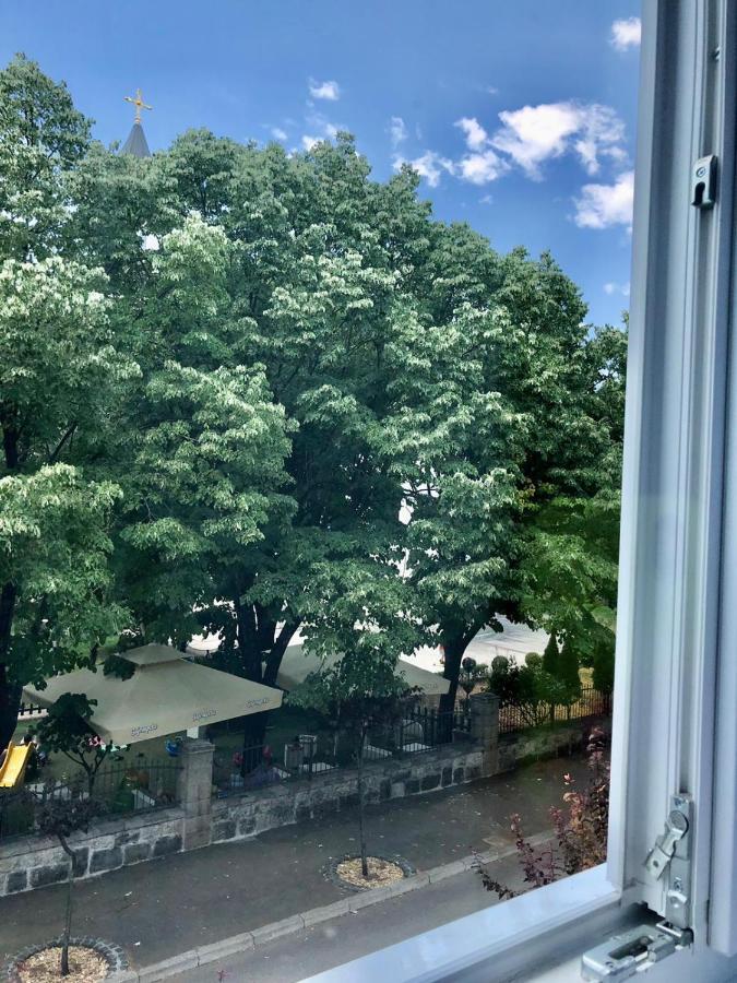Apartment Bregovi トレビニエ エクステリア 写真
